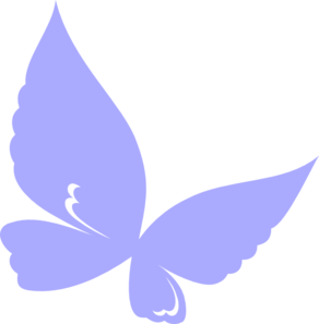 butterfly butterfly